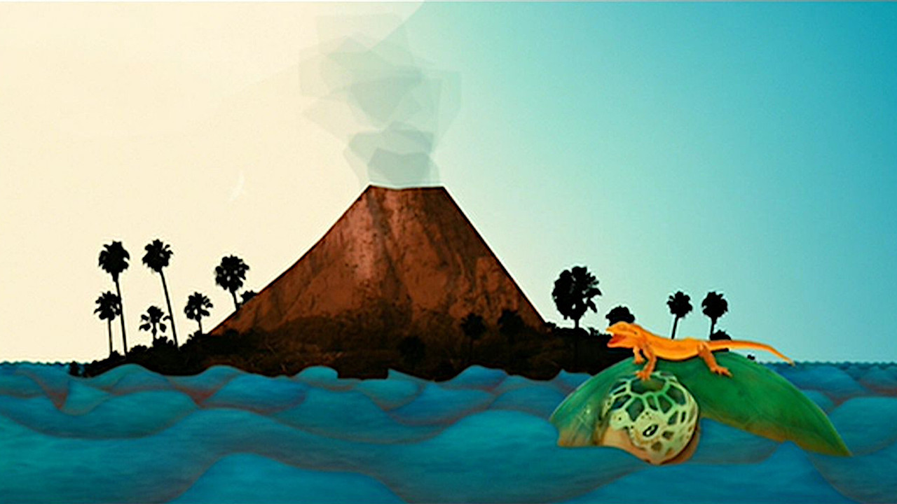 Nim's Island Collection background